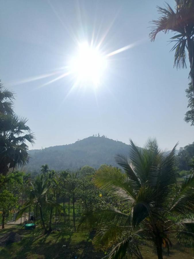 Padavayal Greens Attappādi Buitenkant foto