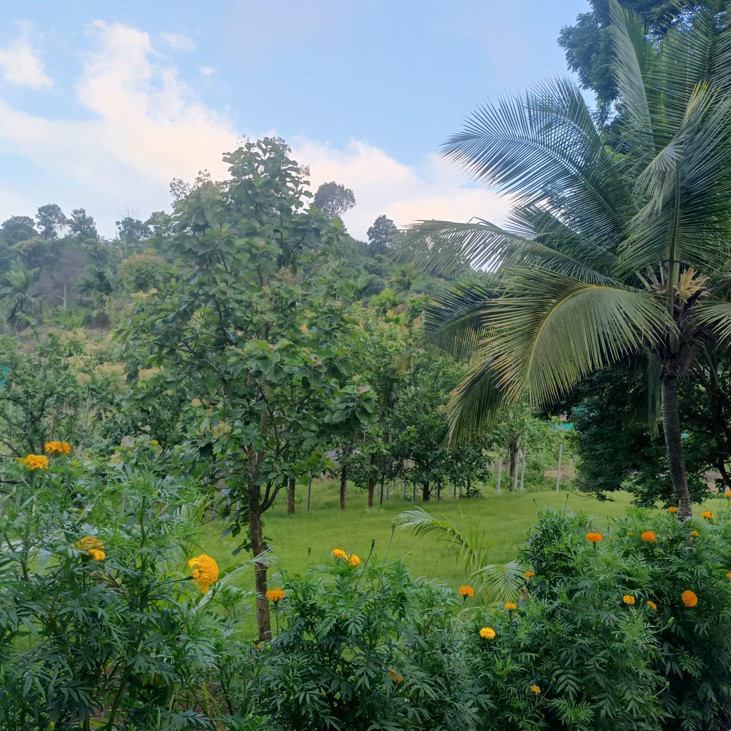 Padavayal Greens Attappādi Buitenkant foto